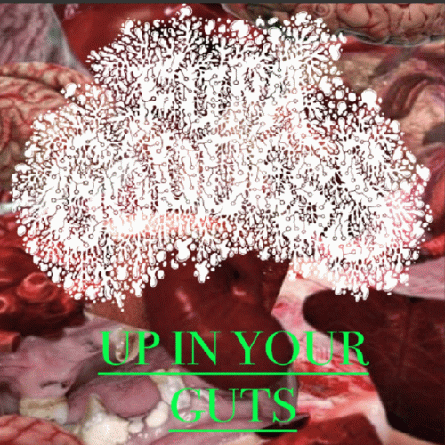 Fupa Goddess : Up in Your Guts